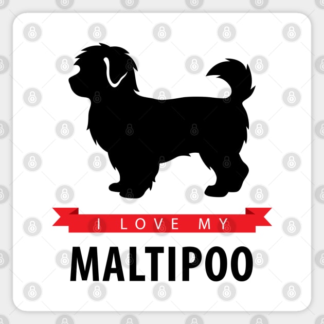 I love my maltipoo 2025